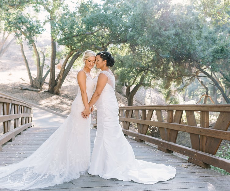 The beautiful CA landscape at Vellano Estate is perfect for bridal portraits