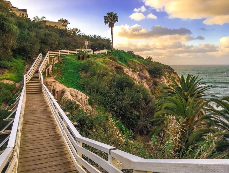 La Jolla Coast Walk