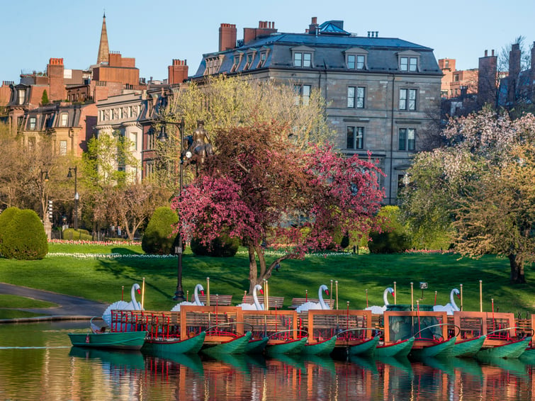 Iconic swan boats at Boston Public Garden