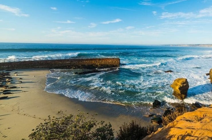 Children's Pool in La Jolla, CA