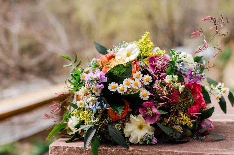 Spring Wedding at Boulder Creek by Wedgewood Weddings (5)