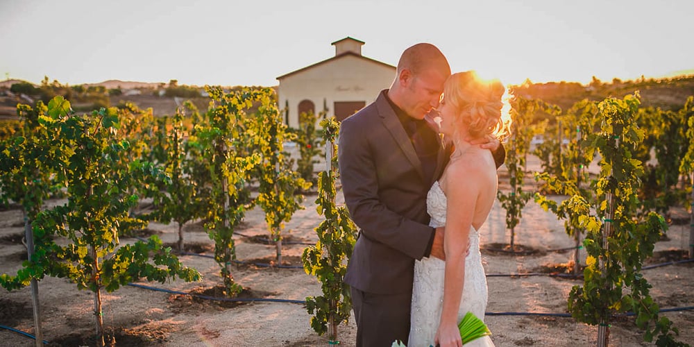 Danza del Sol Winery by Wedgewood Weddings