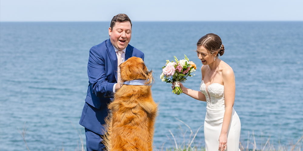 Flower dog at Barker House by Wedgewood Weddings