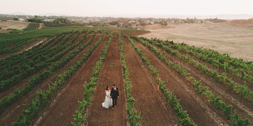 Winery Wedding Venue: Danza del Sol Winery in Temecula