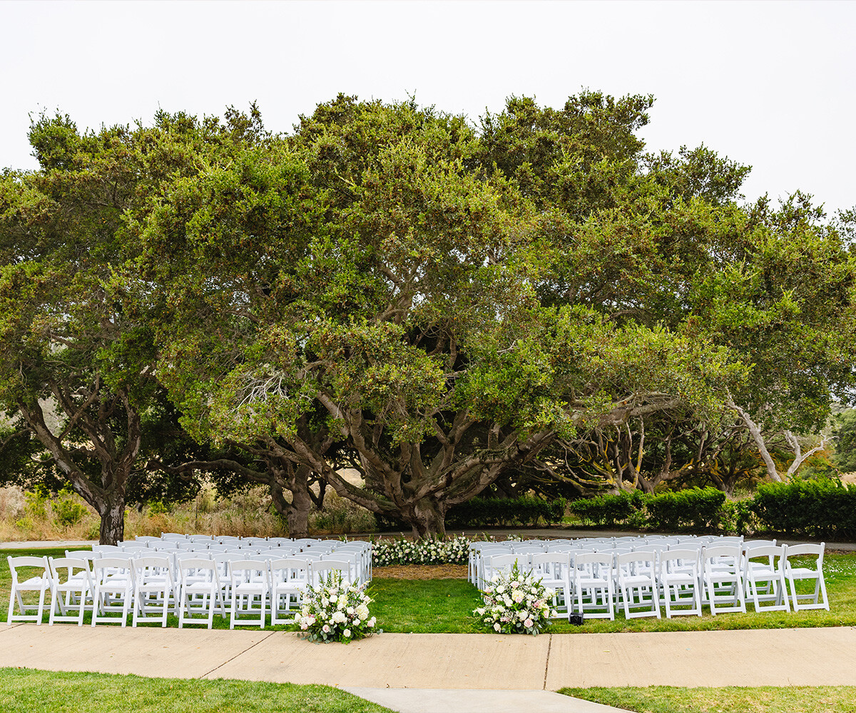 Ceremony setup in front of large tree - Carmel Fields by Wedgewood Weddings