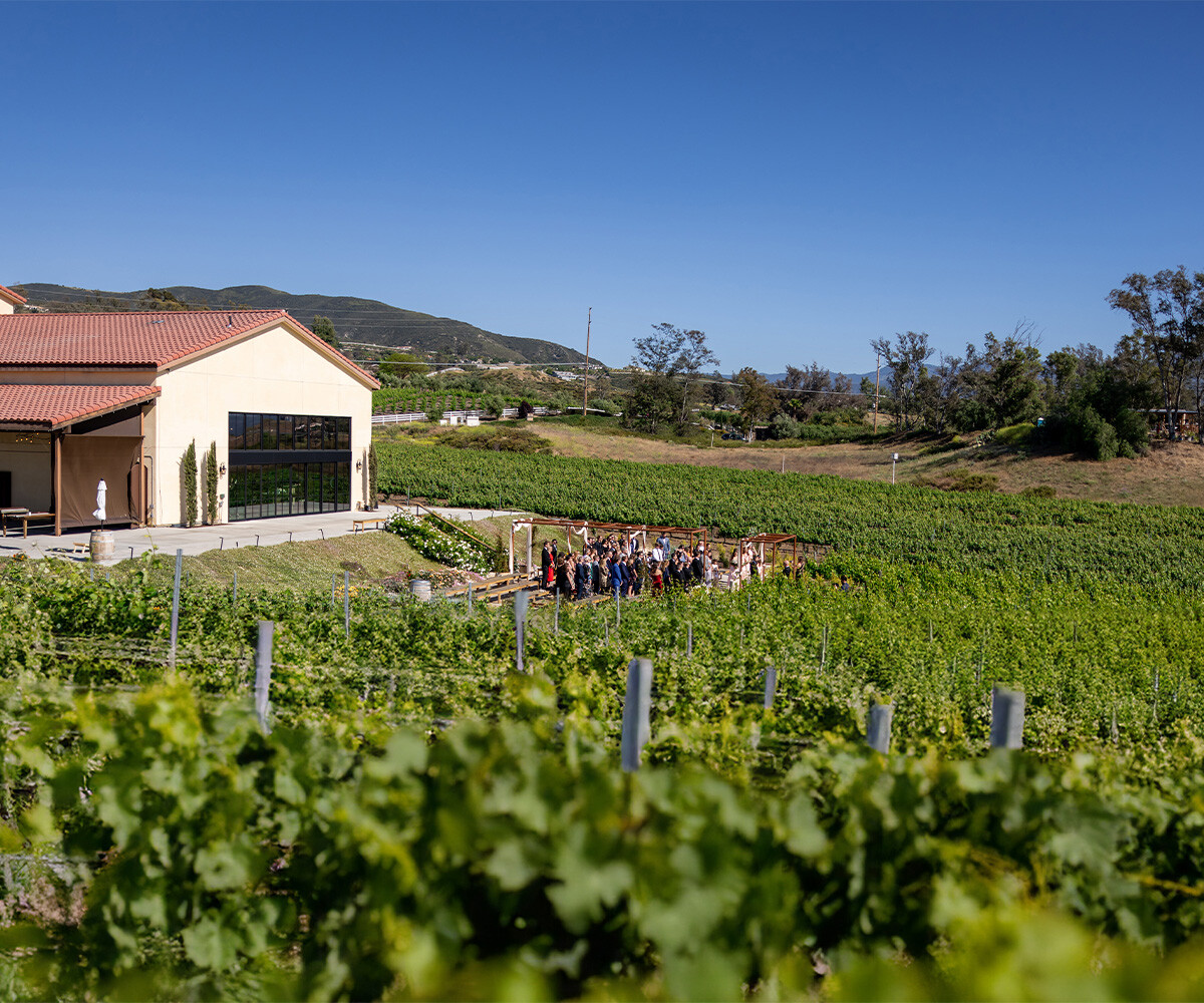 Exterior shot of vineyard ceremony - Danza del Sol Winery by Wedgewood Weddings