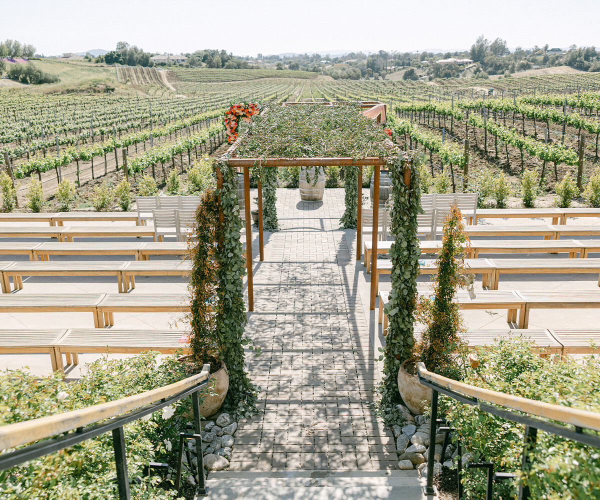 Gorgeous Vineyard Ceremony - Danza del Sol Winery by Wedgewood Weddings