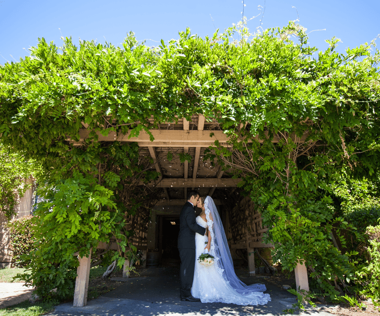 Hiddenbrooke Hills by Wedgewood Weddings - Springtime (2)