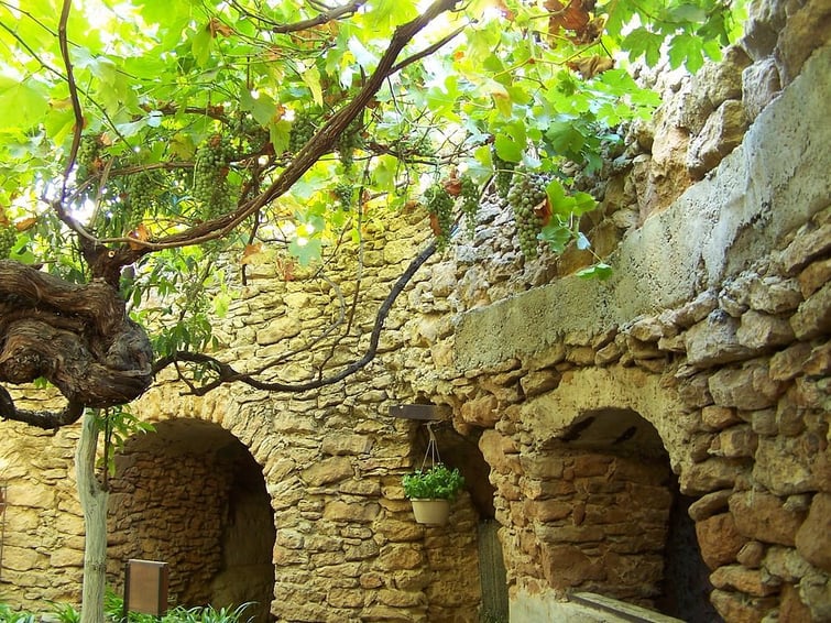 Forestiere Underground Gardens - Historic Site in Fresno, CA