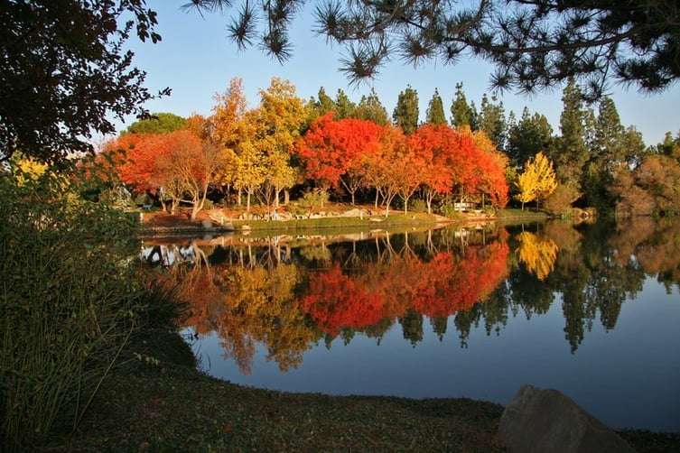 Woodward Park in Fresno