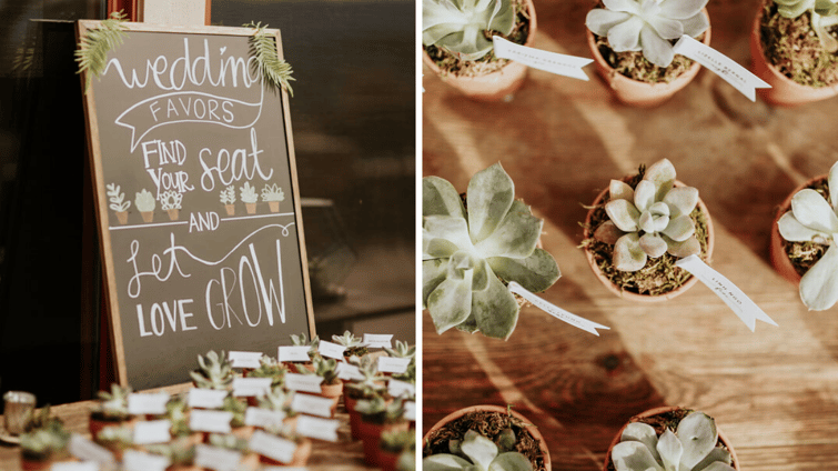 Succulent wedding favors at Boulder Ridge by Wedgewood Weddings