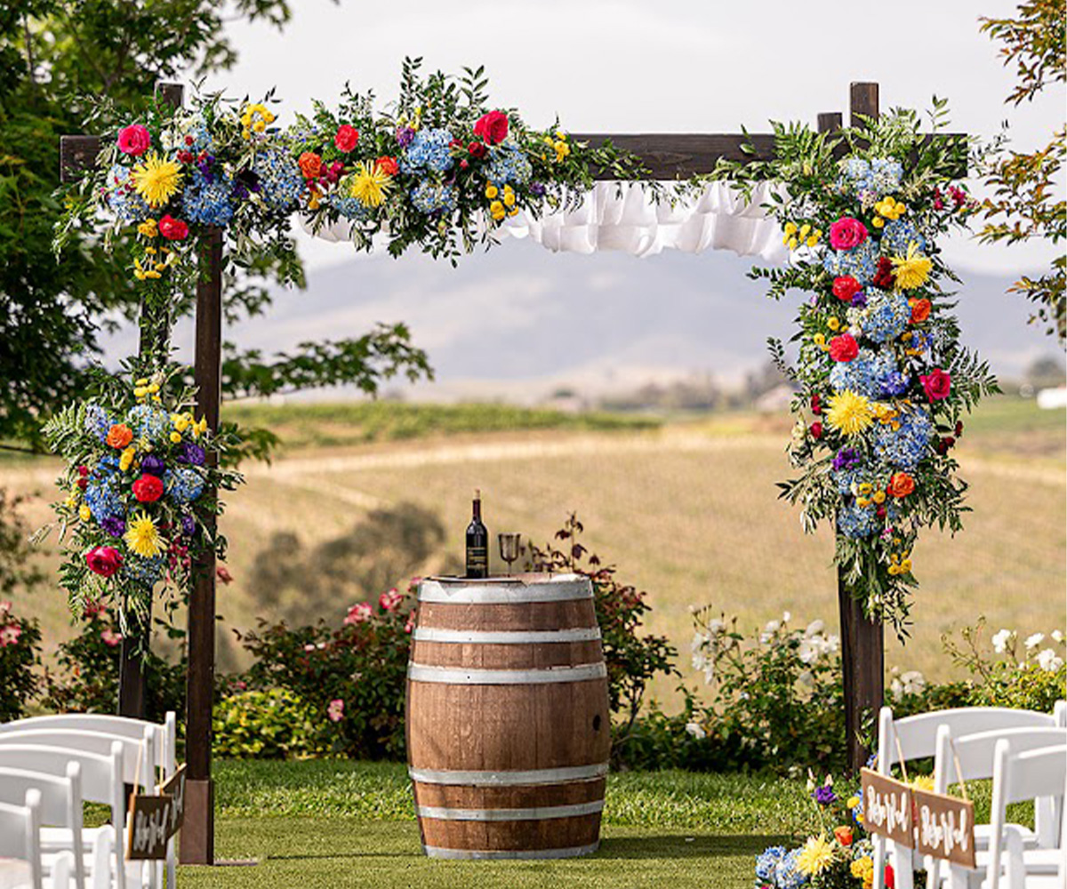 Vineyard ceremony at Bel Vino Winery by Wedgewood Weddings