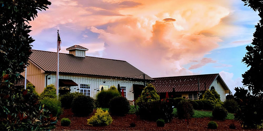 Blue Ridge Sophistication: Spinning Leaf's Vineyard Wedding Estate